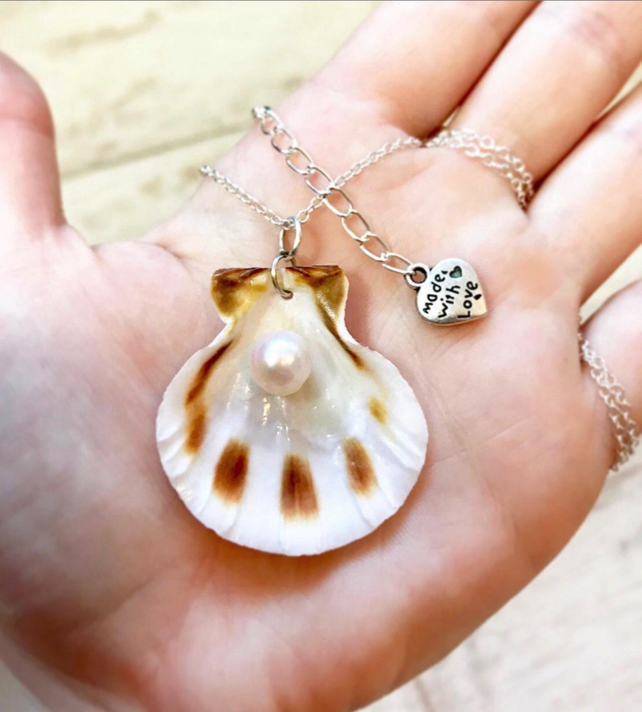 Real shell store pendant